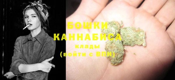 стаф Зеленодольск