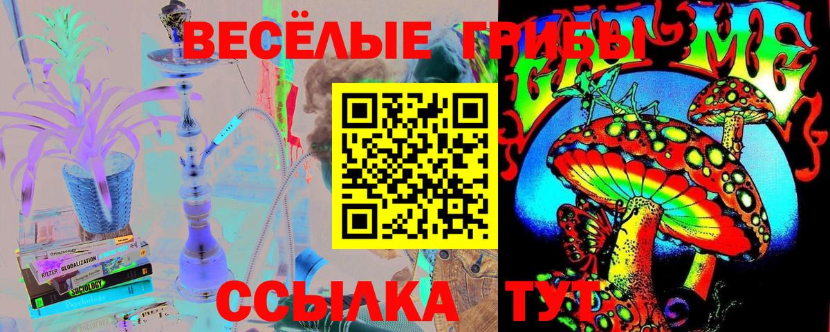 Галлюциногенные грибы Cubensis  Вход с VPN  Краснокамск 