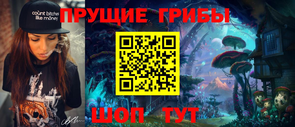 Псилоцибиновые грибы Cubensis Краснокамск